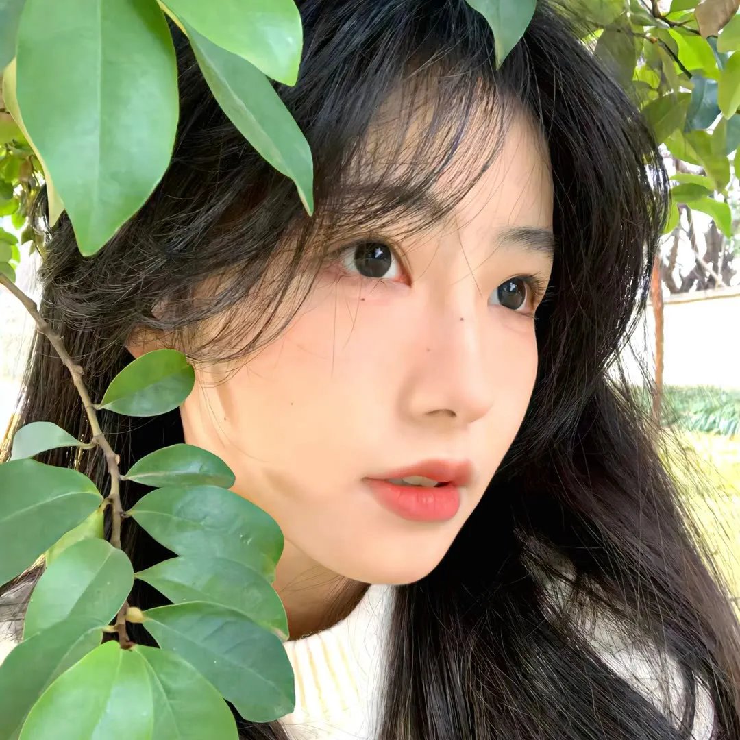 两不疑第二季