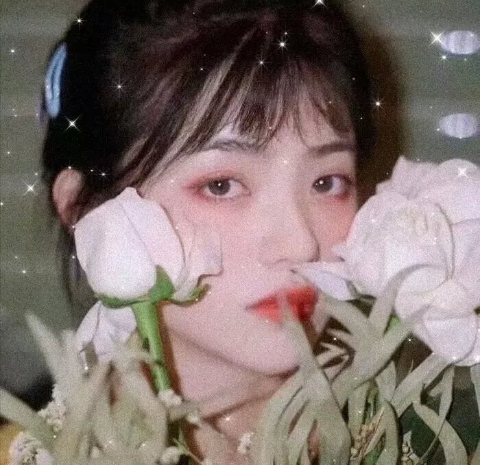 秋菊打官司